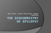 Mike Potes, Austin Fernstrum, Sydney Bruestle. What is Epilepsy  Group of related disorders Not just one disease Concentration: Idiopathic Generalized.