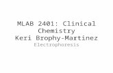 MLAB 2401: Clinical Chemistry Keri Brophy-Martinez Electrophoresis.