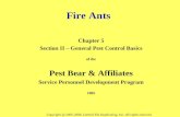 Fire Ants Chapter 5 Section II – General Pest Control Basics of the Pest Bear & Affiliates Service Personnel Development Program 2005 Copyright @ 2005-2006,