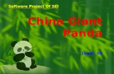 China Giant Panda Team #6 Software Project Of SEI.