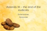 Asterids III – the end of the eudicots Solanaceae Apiaceae.