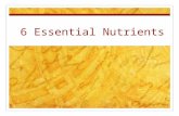 6 Essential Nutrients. Why are Nutrients Important? Help you stay healthy, brain function, skeleton moving, heart beating Need 50 nutrients to keep body.