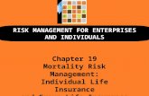 RISK MANAGEMENT FOR ENTERPRISES AND INDIVIDUALS Chapter 19 Mortality Risk Management: Individual Life Insurance and Group Life Insurance.
