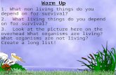 © 2004 Plano ISD, Plano, TX Warm Up 1. What non living things do you depend on for survival? 2. What living things do you depend on for survival? 3. Look.
