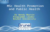 MSc Health Promotion and Public Health Dr Wendy Martin Programme Leader Brunel University.