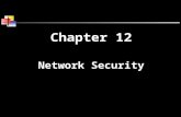 Chapter 12 Network Security. 2  There are many different types of viruses, such as parasitic, boot sector, stealth, polymorphic, and macro.  A Trojan.