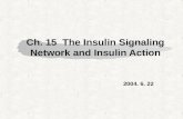 Ch. 15 The Insulin Signaling Network and Insulin Action 2004. 6. 22.
