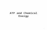 ATP and Chemical Energy 1. Objectives SWBAT recognize the importance of ATP as an energy-carrying molecule. SWBAT identify energy sources used by organisms.