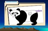 By Cindy and Harry Click me to begin Where do Giant Pandas live?  Giant pandas lived in lowland areas of China and other parts of Asia.  Now they live.