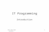 ITP © Ron Poet Lecture 1 1 IT Programming Introduction.