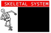 SKELETAL SYSTEM. Study of Skeletal system- Skeletelology Vertebrate skeletal system is differentiated in 2 parts- 1.Axial Skeleton. 2.Appendicular Skeleton.