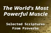 The World’s Most Powerful Muscle Selected Scriptures From Proverbs.
