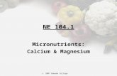 C. 2007 Bauman College NE 104.1 Micronutrients: Calcium & Magnesium.