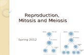 Reproduction, Mitosis and Meiosis Spring 2012. All Living Things REPRODUCE… Without reproduction all living things would go EXTINCT…