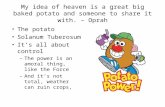 My idea of heaven is a great big baked potato and someone to share it with. – Oprah The potato Solanum Tuberosum It’s all about control –The power is an.