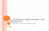 Classroom Expectations and Routines The good, the bad, and the ugly.