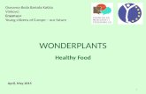 WONDERPLANTS Healthy Food Osnovna škola Bartola Kašića Vinkovci Erasmus+ Young citizens of Europe – our future April, May 2015 1.