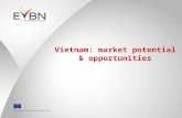 Vietnam: market potential & opportunities. Vietnam. At a glance. Population of 93 mio. people Emergence of an urban middle class Regional differences.