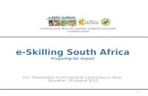 E-Skilling South Africa Preparing for Impact For: Presentation to the Portfolio Committee on Basic Education 20 August 2013 e-skilling south africa for.