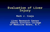 Evaluation of Liver Injury Mark J. Czaja Liver Research Center Albert Einstein College of Medicine Bronx, N.Y. Albert Einstein College of Medicine Bronx,
