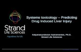 © Strand Life Sciences 2008 Systems toxicology – Predicting Drug Induced Liver Injury Kalyanasundaram Subramanian, Ph.D. Strand Life Sciences.