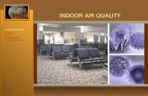 INDOOR AIR QUALITY INTRODUCTION ODOR INDOOR AIR CONTAMINANTS.