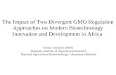 The Impact of Two Divergent GMO Regulation Approaches on Modern Biotechnology Innovation and Development in Africa Adane Abraham (PhD) Ethopian Institute.