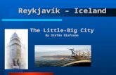 Reykjavík – Iceland The Little-Big City By Stefán Ólafsson.