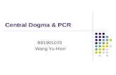 Central Dogma & PCR B91901070 Wang Yu-Hsin. Central Dogma What is Central Dogma? DNA RNA Protein transcription translation All cells express their genetic.