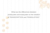 What are the differences between prokaryotes and eukaryotes on the initiation of TRANSCRIPTION and TRANSLATION?