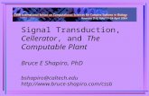1 Signal Transduction, Cellerator, and The Computable Plant Bruce E Shapiro, PhD bshapiro@caltech.edu .
