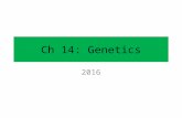 Ch 14: Genetics 2016. From Topic 3.1 Essential idea: Every living organism inherits a blueprint for life from its parents. Understandings: A gene is a.
