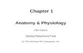 Chapter 1 Anatomy & Physiology Fifth Edition Seeley/Stephens/Tate (c) The McGraw-Hill Companies, Inc.