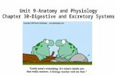 Unit 9-Anatomy and Physiology Chapter 30-Digestive and Excretory Systems.