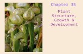 Chapter 35 Plant Structure, Growth & Development.