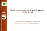 Fluid Mechanics and Applications Inter - Bayamon Lecture 5 Fluid Mechanics and Applications MECN 3110 Inter American University of Puerto Rico Professor: