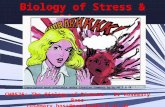 CH0576: The Biology of Disease - Dr Rosemary Bass rosemary.bass@northumbria.ac.uk Biology of Stress & Disease Copyrighted work available under Creative.