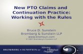 1 New PTO Claims and Continuation Practice: Working with the Rules Bruce D. Sunstein Bromberg & Sunstein LLP  © 2007 Bromberg & Sunstein.