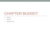 CHAPTER BUDGET  Why?  How?  Show me!. Chapter Budget - Why budget? Establish priorities Shows what you can afford Communicates reimbursement plans.
