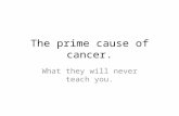 The prime cause of cancer. What they will never teach you.