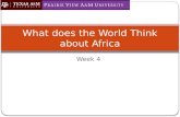 Week 4 What does the World Think about Africa. Objectives  To discuss what the world think about Africa  To discuss the Structural Adjustment programs.