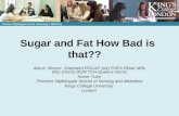 Sugar and Fat How Bad is that?? Alison Burton- Shepherd PGCAP (ed) FHEA RNutr MSc BSc (Hons) RGN TCH Queens Nurse Nurse Tutor Florence Nightingale School.
