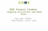 GEO Forest Carbon -Ongoing Activities and Work Plan- Alex Held (CSIRO), CEOS-Plenary, Lucca, Italy.