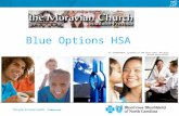An independent licensee of the Blue Cross and Blue Shield Association Blue Options HSA.
