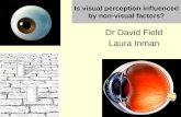 Dr David Field Laura Inman Is visual perception influenced by non-visual factors?