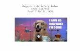 Organic Lab Safety Rules Chem 350/351 Prof T Nalli, WSU.