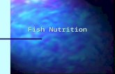 Fish Nutrition. Definitions n Amino Acid –A building block for proteins; an organic acid containing one or more amino groups (-NH2) and at least on carboxylic.