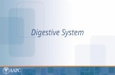 Digestive System. CPT® copyright 2012 American Medical Association. All rights reserved. Fee schedules, relative value units, conversion factors and/or.