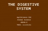 THE DIGESTIVE SYSTEM AgriScience 332 Animal Science #8646-E TEKS: (c)(3)(A)