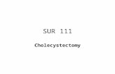 SUR 111 Cholecystectomy. Anatomy of the Biliary System.